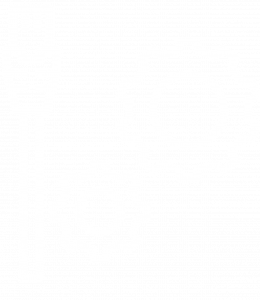 stecker_zahnrad
